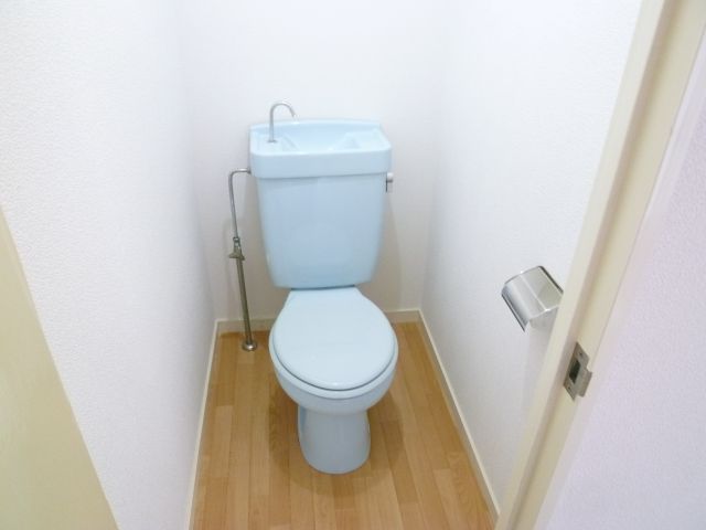 Toilet. Toilet floor was also Mashi Insect! 