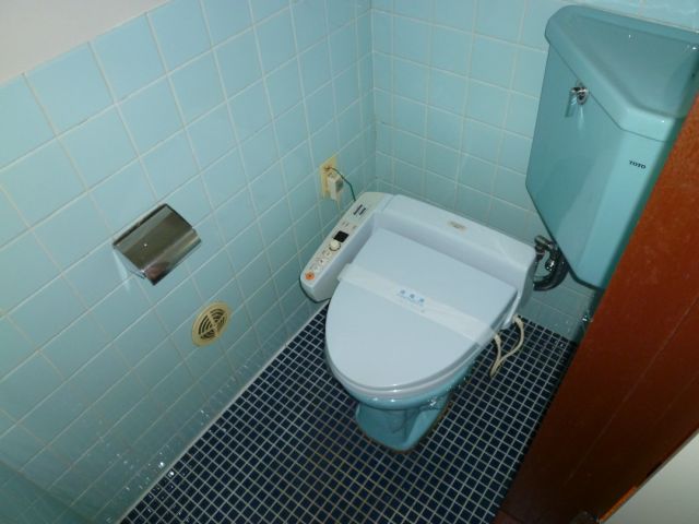 Toilet. Bidet with function
