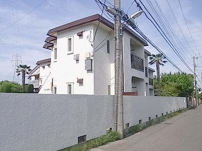 Building appearance. appearance