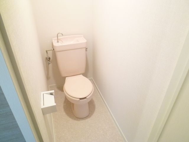 Toilet. Toilet with depth! 