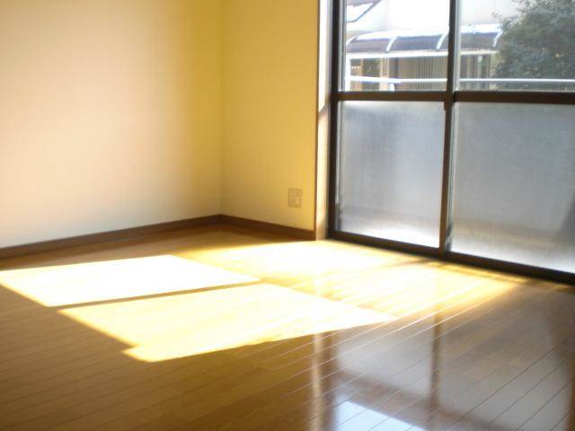 Living and room. Facing south in a bright room