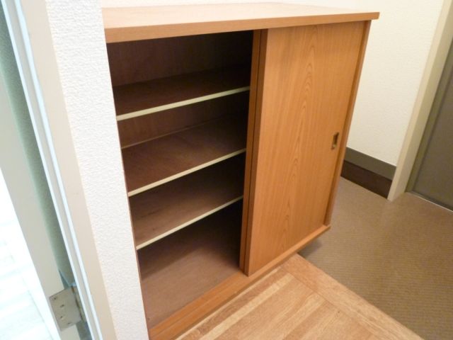 Other Equipment. Safe storage of shoes with a shoebox