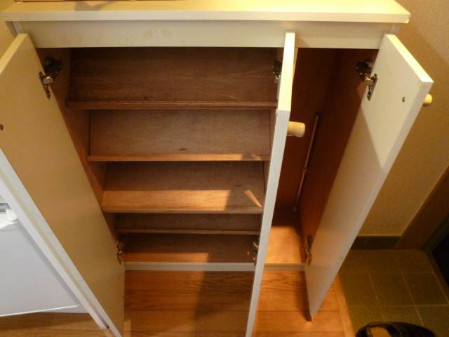 Entrance. Big shoes BOX