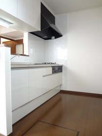 Kitchen. Face-to-face kitchen is equipped with a three-necked gas stove