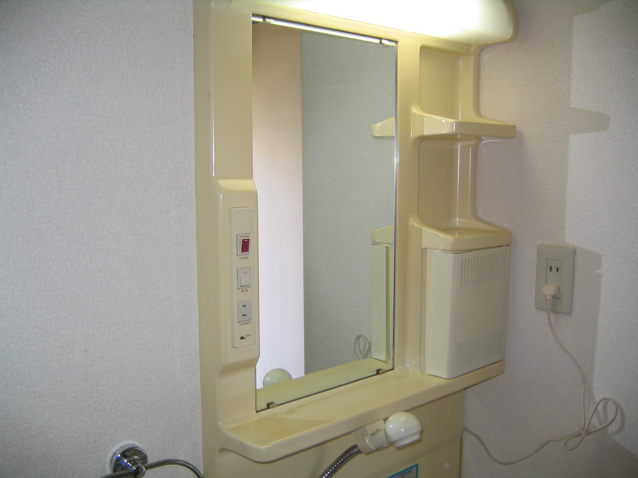 Washroom. Shampoo dresser