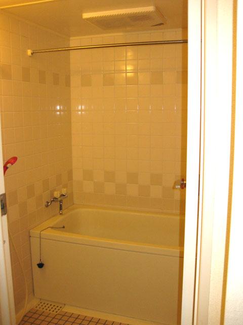 Bathroom. Indoor (10 May 2013) Shooting