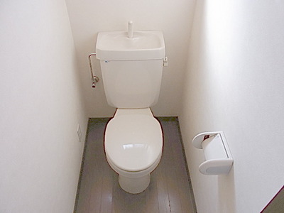 Toilet. Toilet