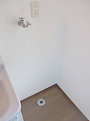 Other room space. Washing machine in the room