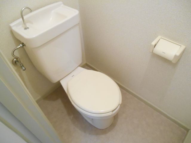 Toilet. Toilet