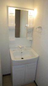 Washroom. Large independent wash basin