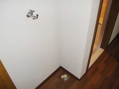 Washroom. Washing machine in the room