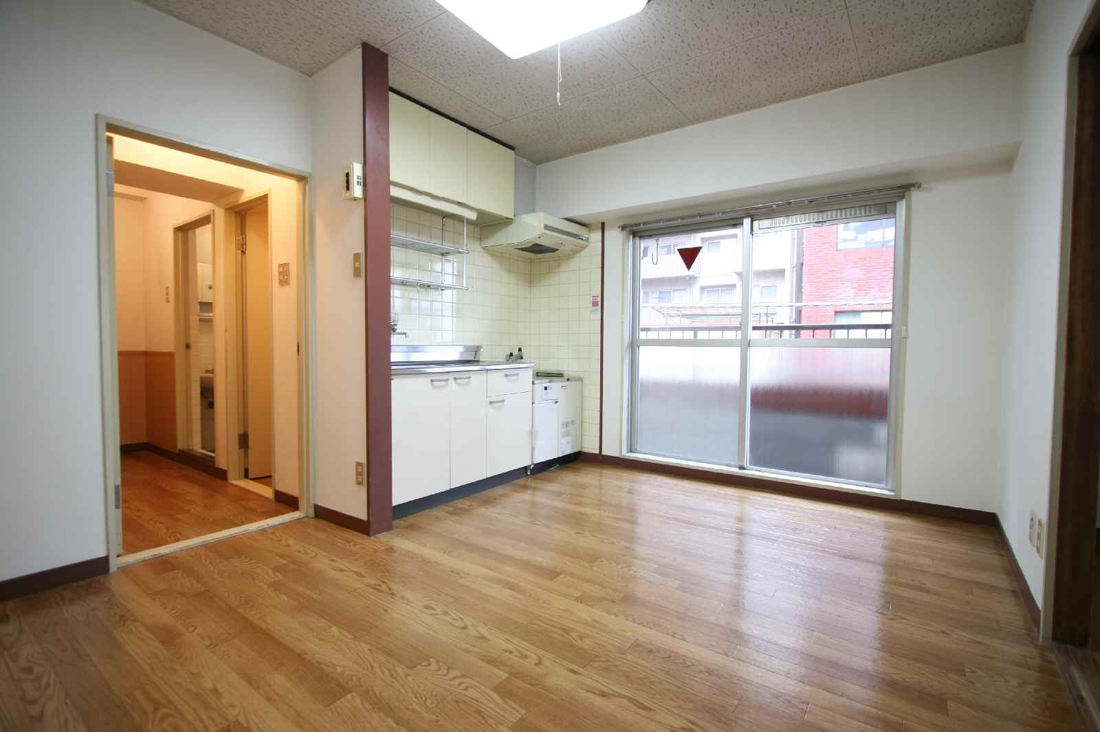 Living and room. Washing machine in the room