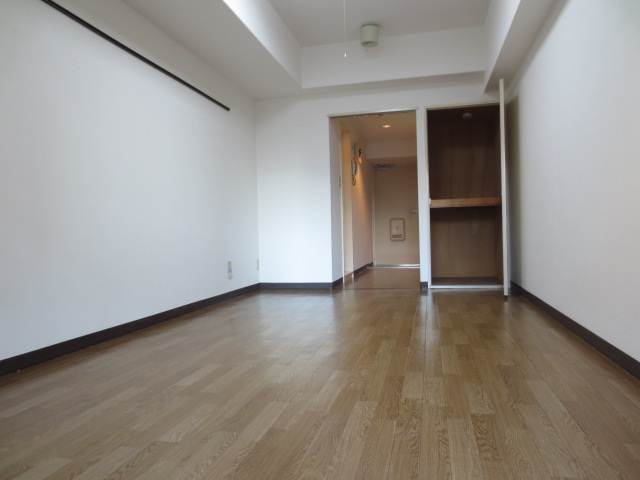 Living and room. Wide and clean Western-style