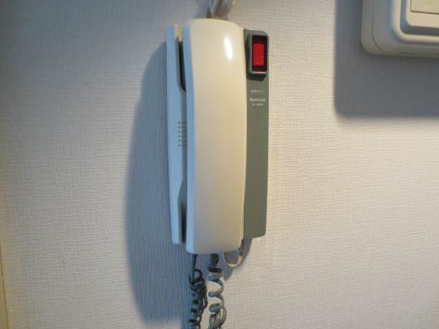 Security. Voice intercom