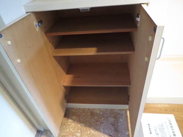 Entrance. Big shoes BOX