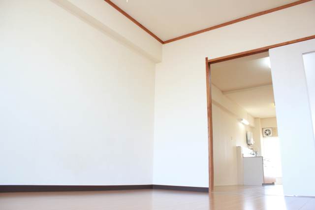 Living and room. Clean room