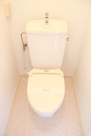 Toilet. New restroom