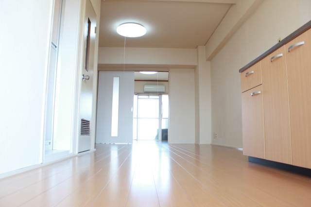 Living and room. Hiroi living