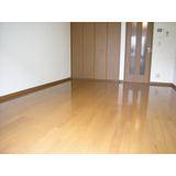 Living and room. Clean room