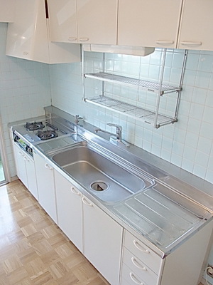 Kitchen. Two-burner gas stove with a kitchen