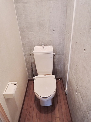 Toilet. Toilet