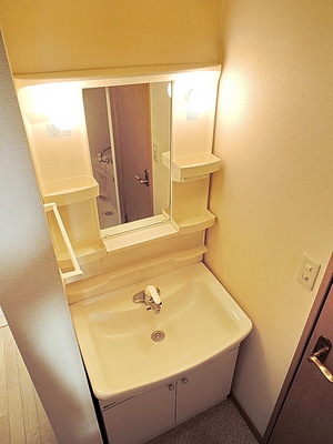 Washroom. Independent wash basin