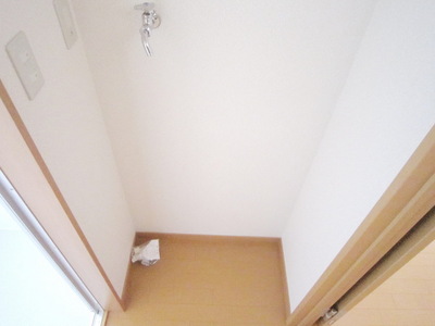 Washroom. Washing machine in the room