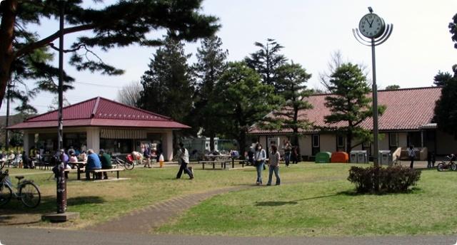 Other local. Nogawa Park