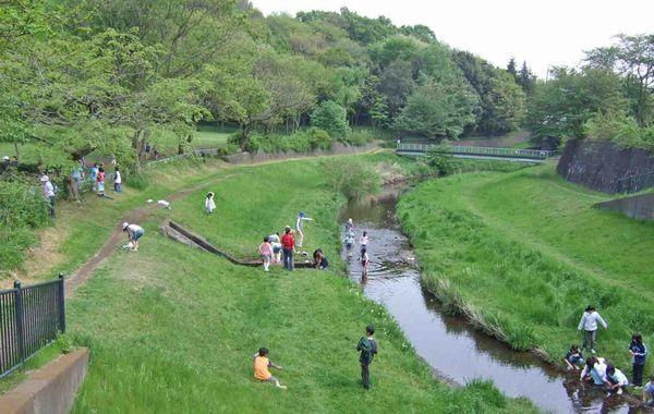 Other local. Nogawa Park