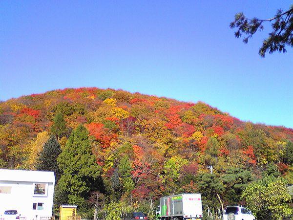 Other local. Kuriyama Park