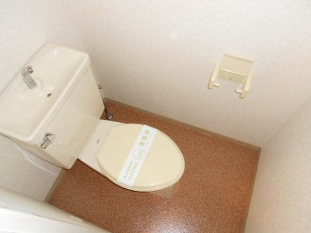 Toilet. Clean restroom