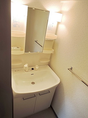 Washroom. Shampoo dresser