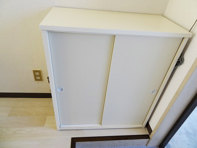 Entrance. Entrance shoe box