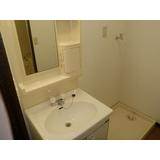 Washroom. Independent wash basin