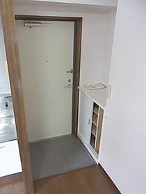 Entrance. Bright and wide entrance