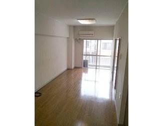 Living and room. Clean room