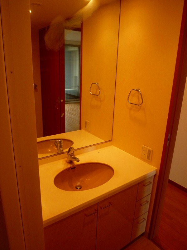 Washroom. The photograph is a different Room No..