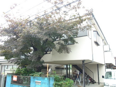 Building appearance. appearance