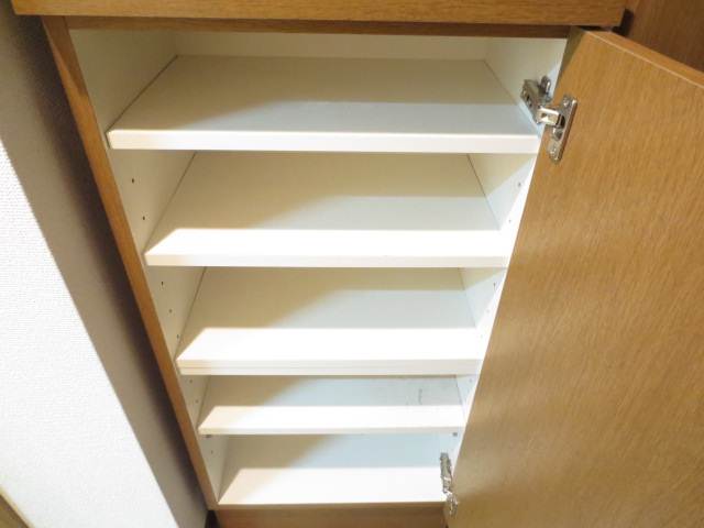 Entrance. Plenty shoebox