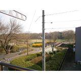 Balcony. There is park in front of the eyes