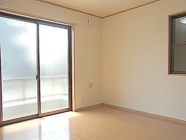 Living and room. Clean room