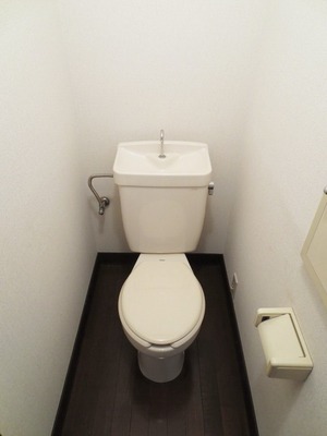Toilet. Toilet