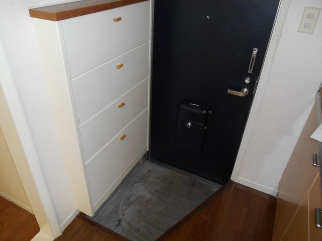 Entrance. Entrance space with a shoebox