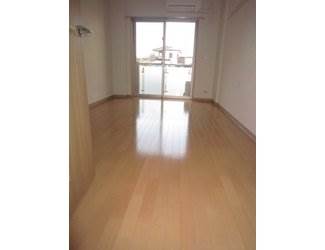 Living and room. Clean room