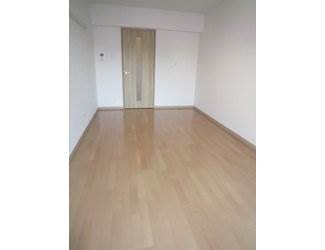 Living and room. Clean room