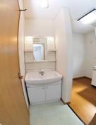 Washroom. Bathroom vanity