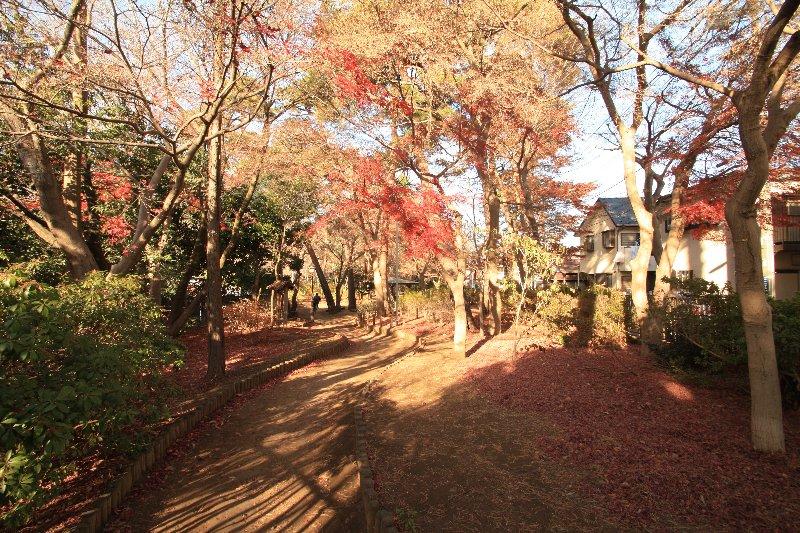 Other. Yokuonkan park