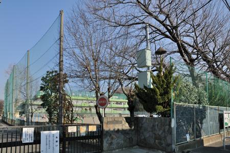 Primary school. Koganei Minami to elementary school 709m