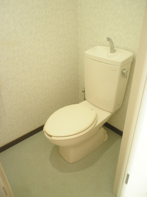 Toilet. It is beautiful!
