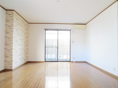 Living and room. Clean rooms